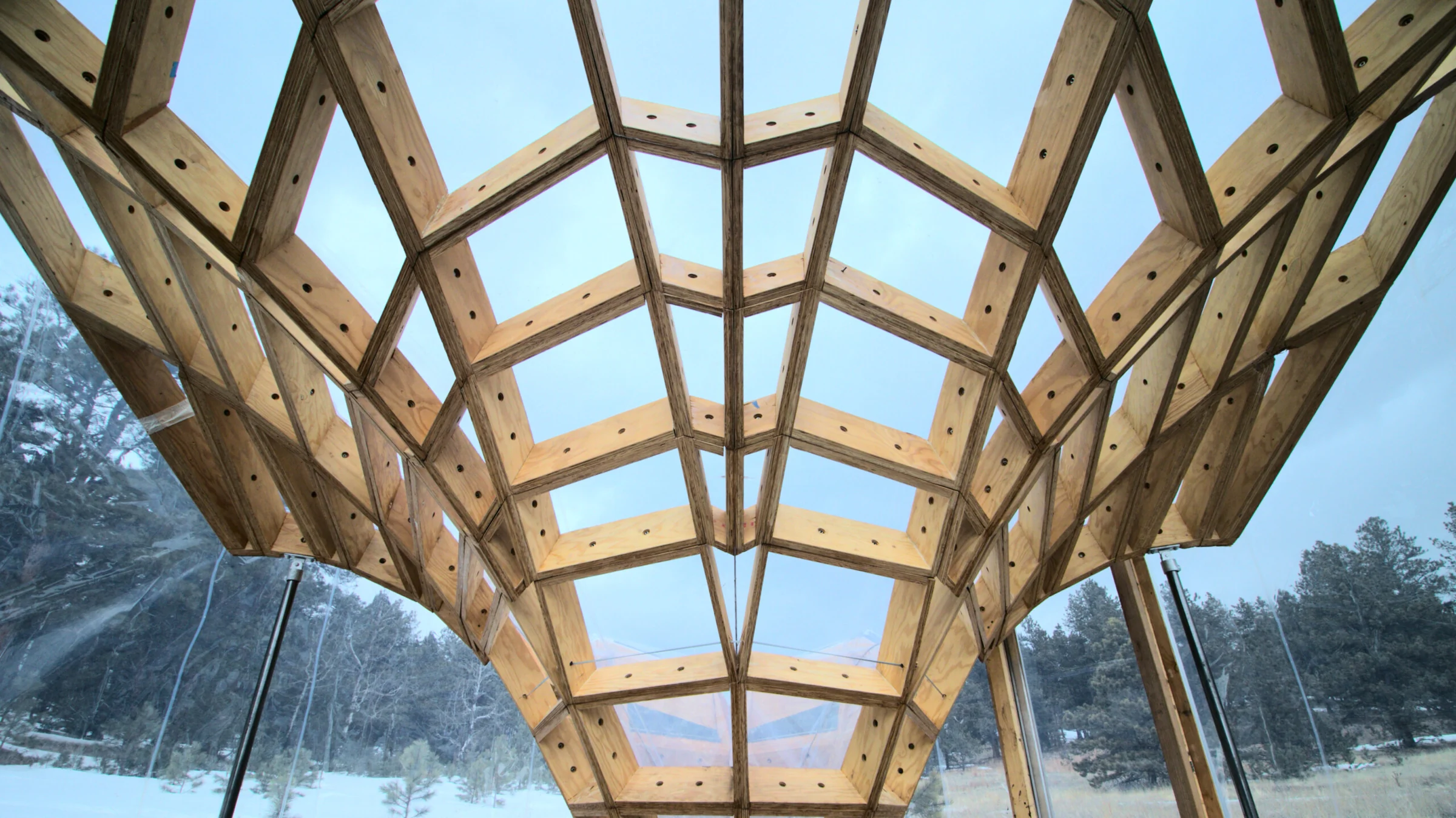 Floralis: an ETFE-Clad, Multilaminar Timber Structure — Shelter and interior 2