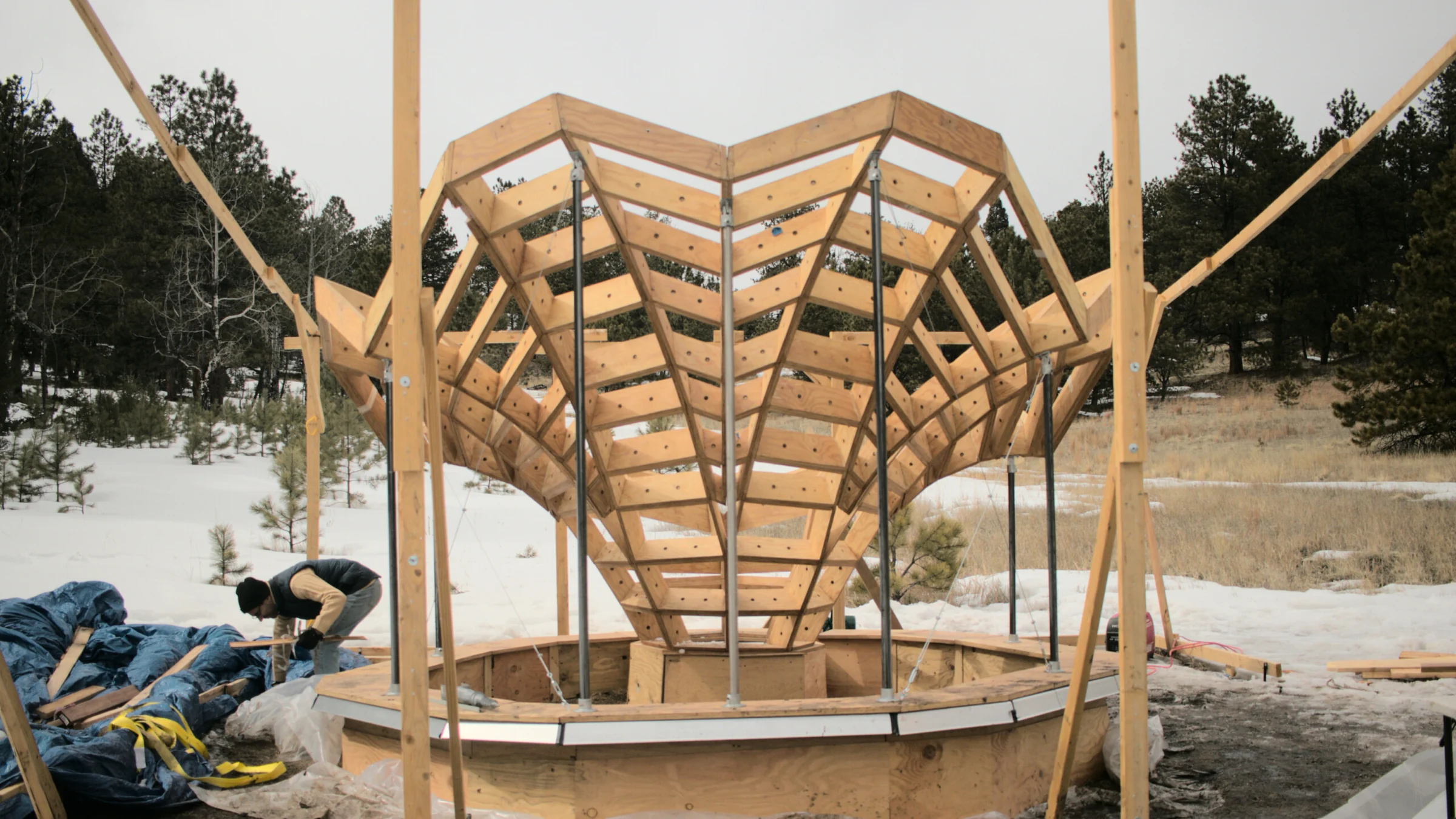 Floralis: an ETFE-Clad, Multilaminar Timber Structure — Fabrication and site assembly 1