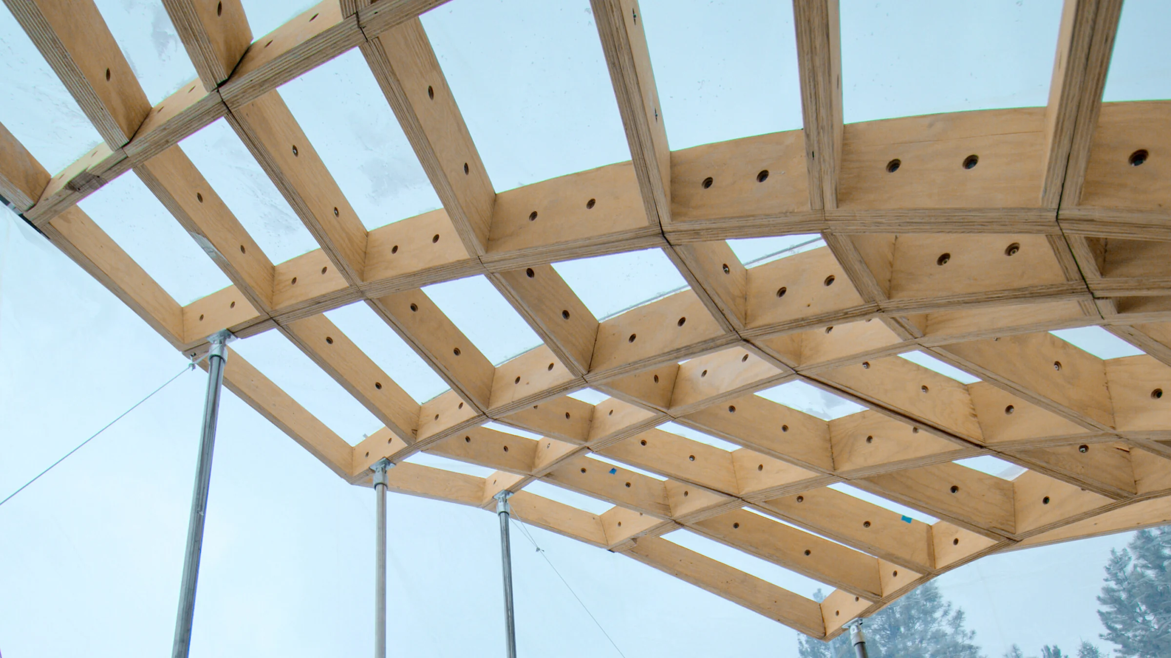 Floralis: an ETFE-Clad, Multilaminar Timber Structure — Shelter and interior 3