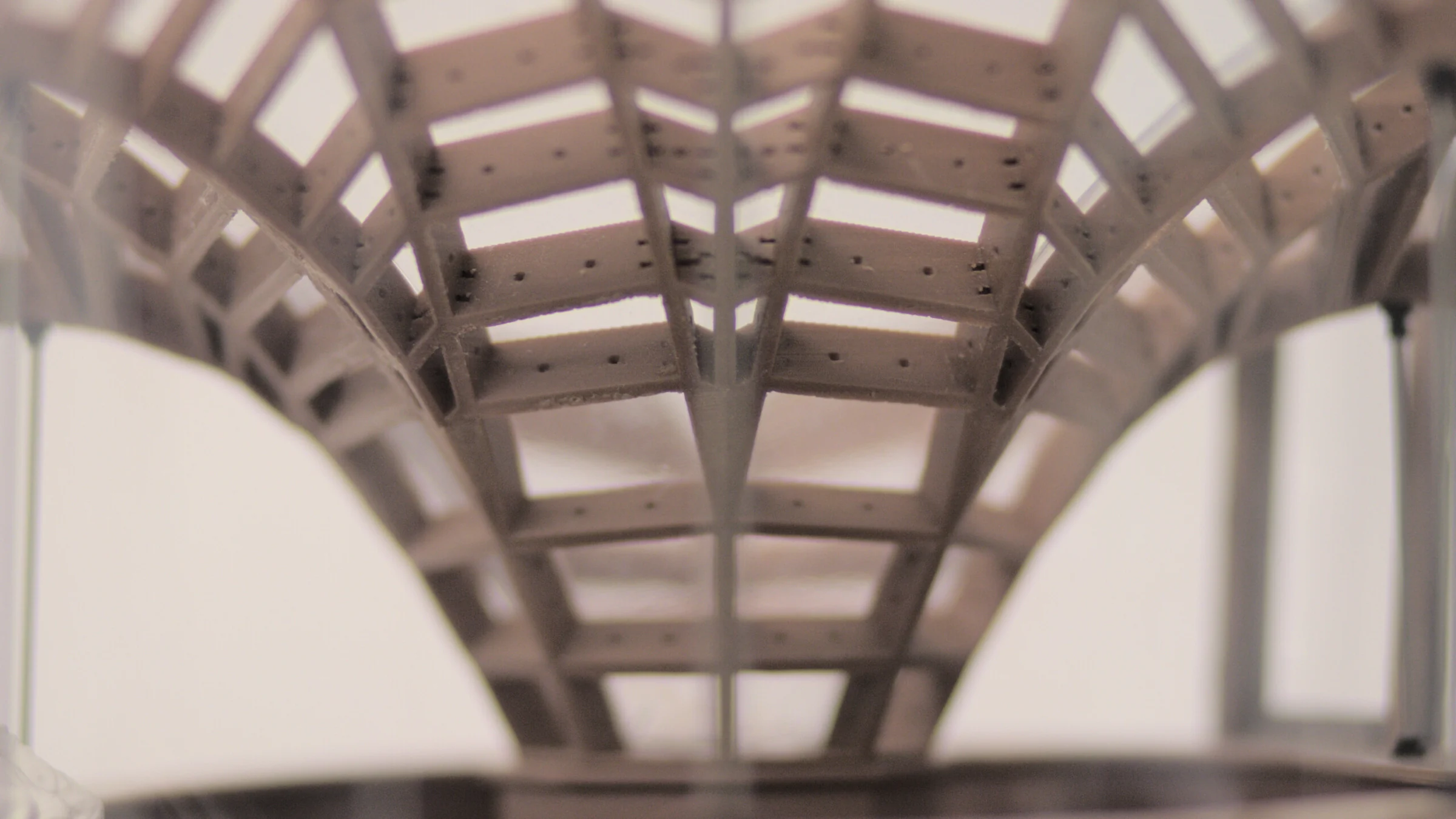 Floralis: an ETFE-Clad, Multilaminar Timber Structure — Physical model 3