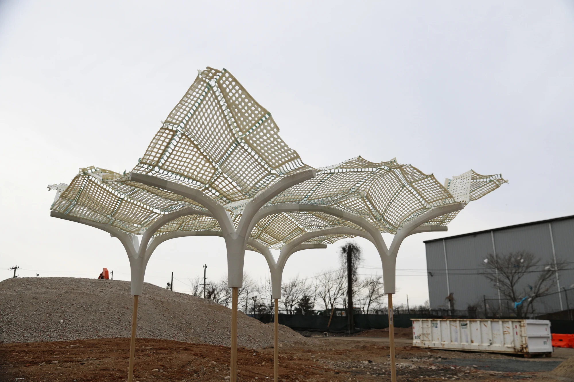 Completed self-morphing lattice canopy on four branching supports