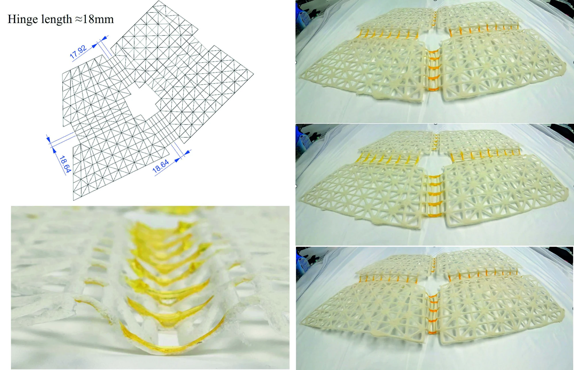 3D-Printed Multi-Material Deployable Structures — project image 1