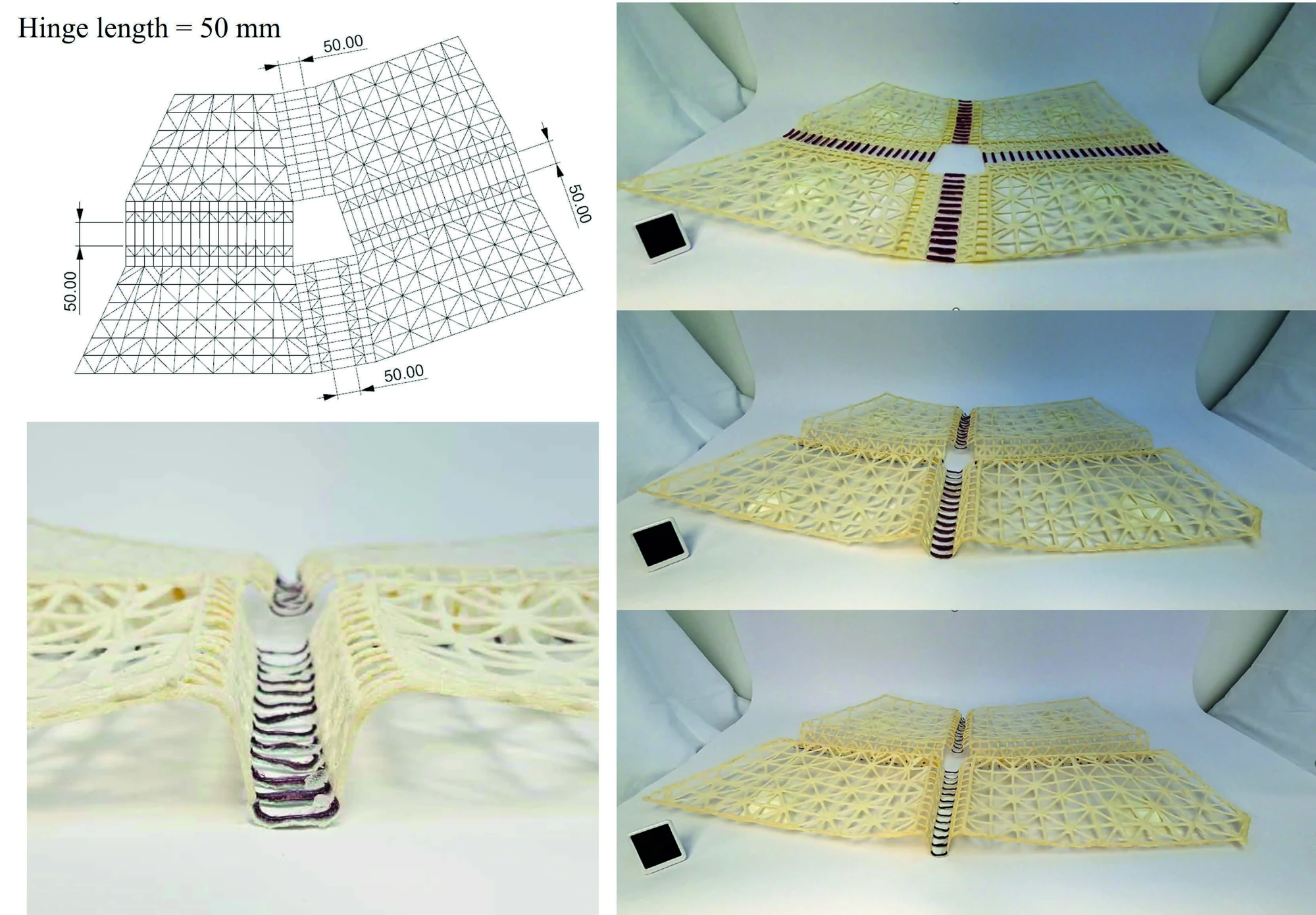 3D-Printed Multi-Material Deployable Structures — project image 2