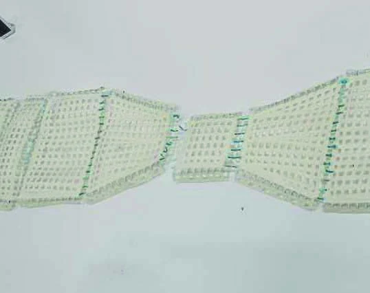 3D-Printed Multi-Material Deployable Structures — project image 1