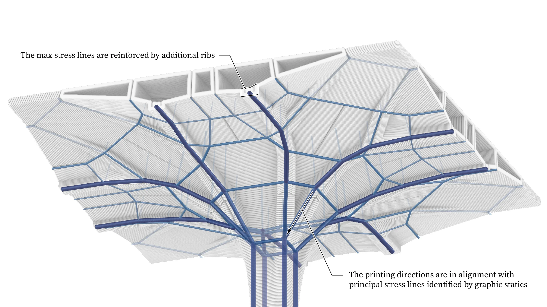 Scaled Fabrication Models — Form finding and print direction 2