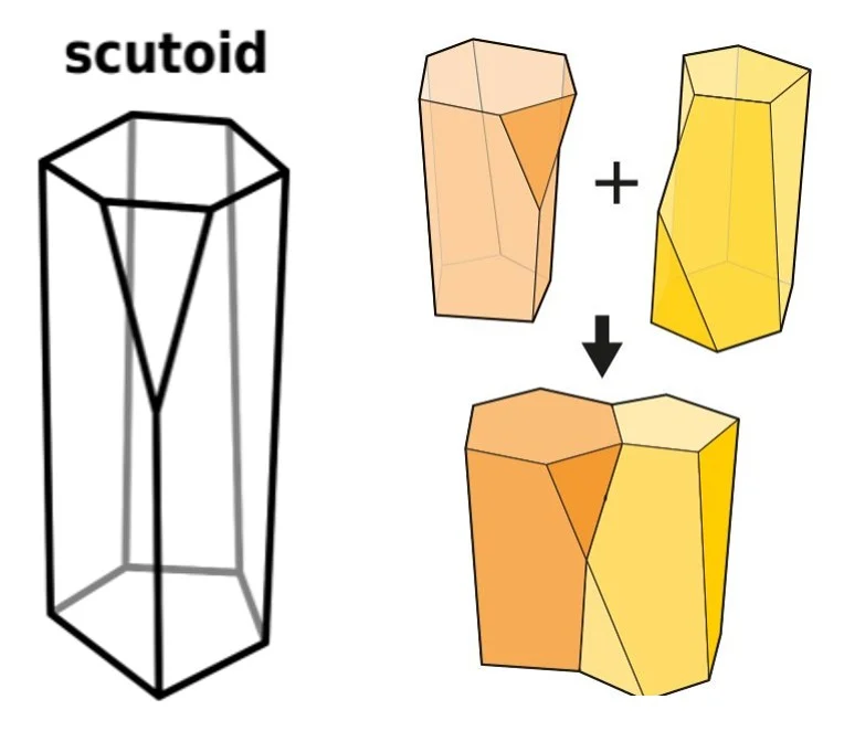 Scutoid: Cell-Inspired Surface Design — project image 2