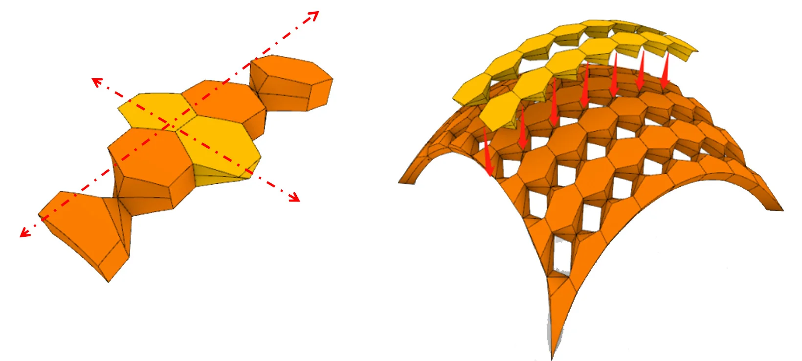 Scutoid: Cell-Inspired Surface Design — project image 2