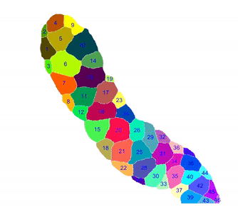 Scutoid: Cell-Inspired Surface Design — project image 1