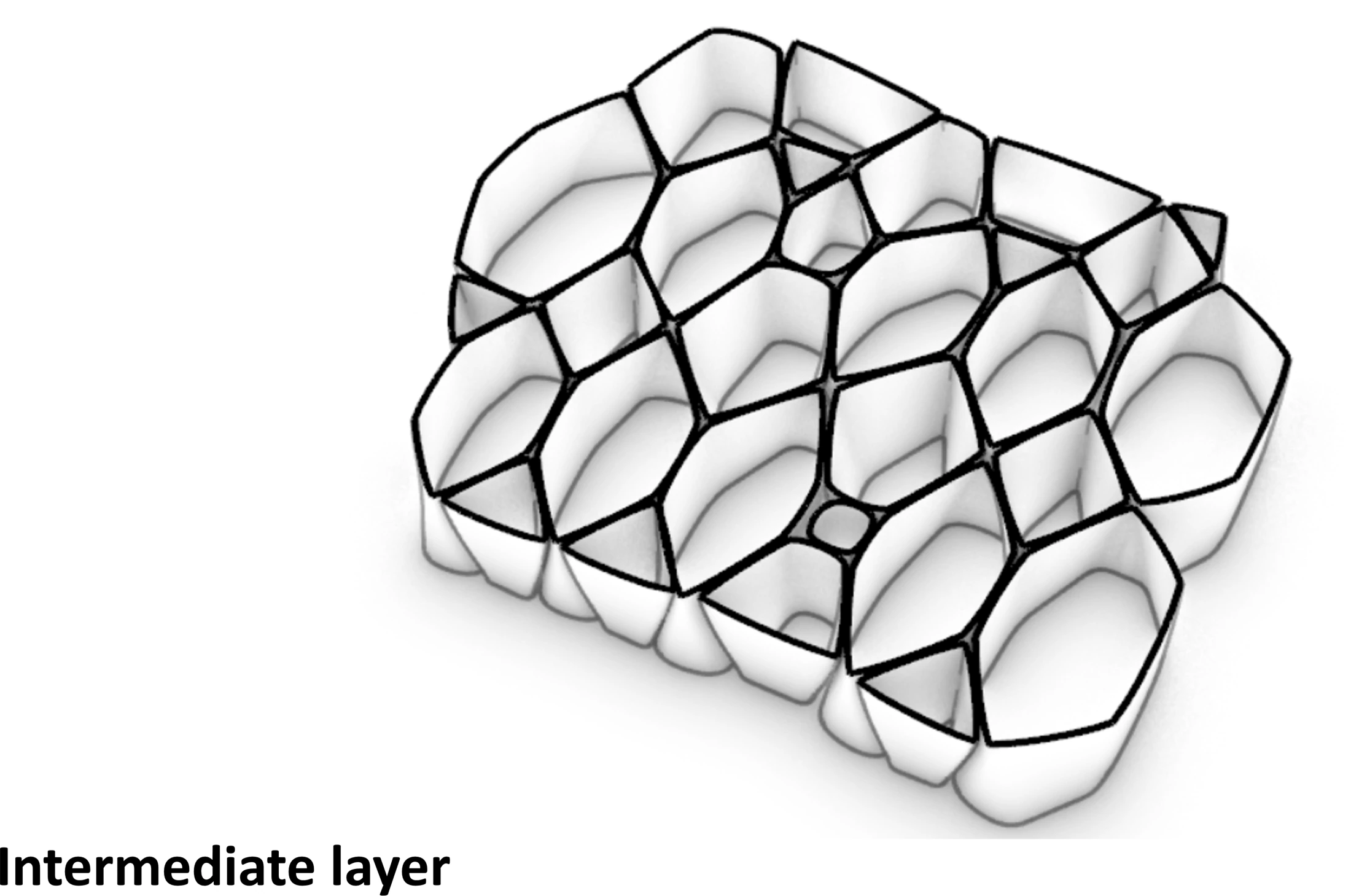 Scutoid: Cell-Inspired Surface Design — project image 2