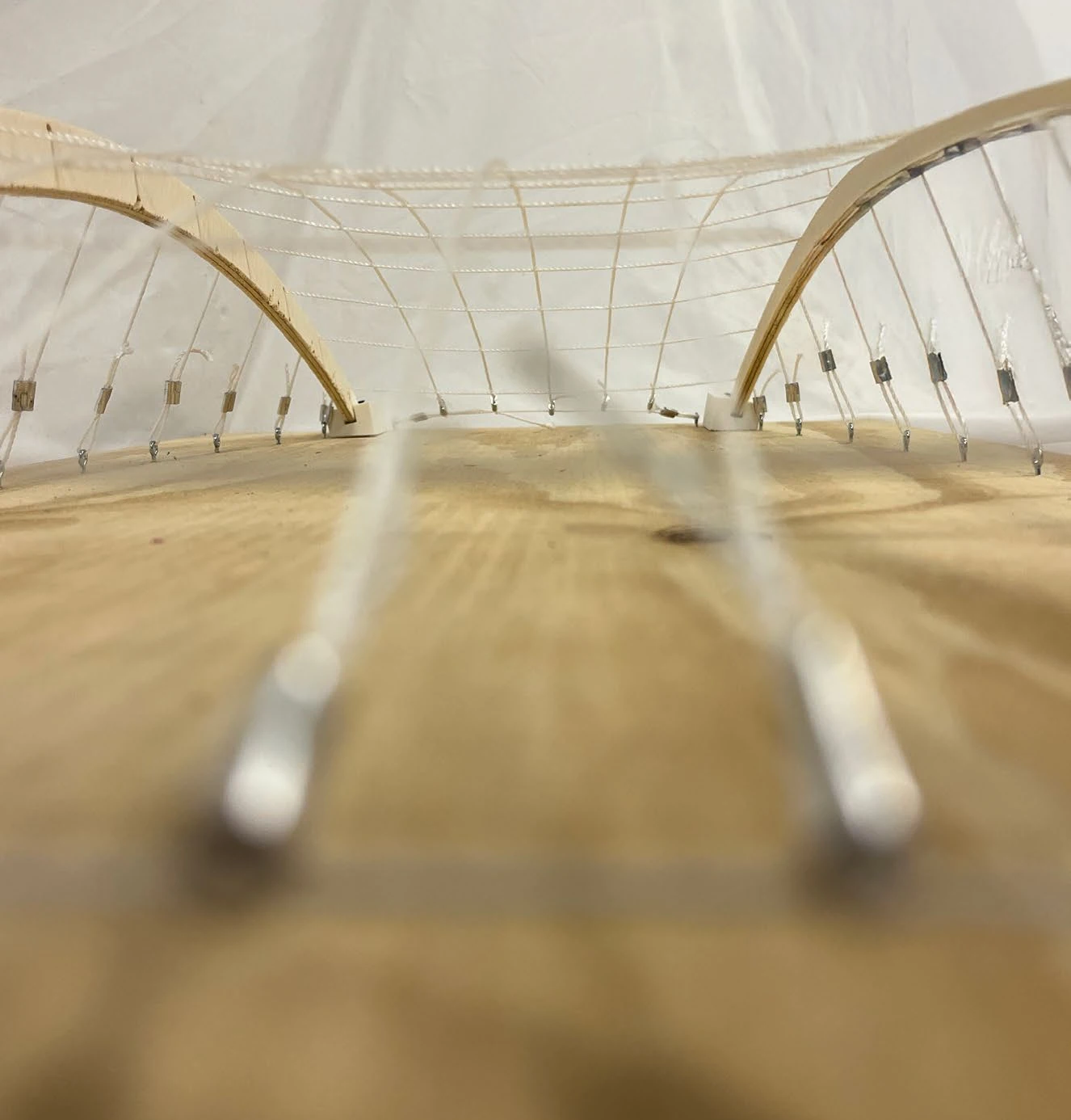 Jordan Brechting — interior view along the catenary arches and tension net