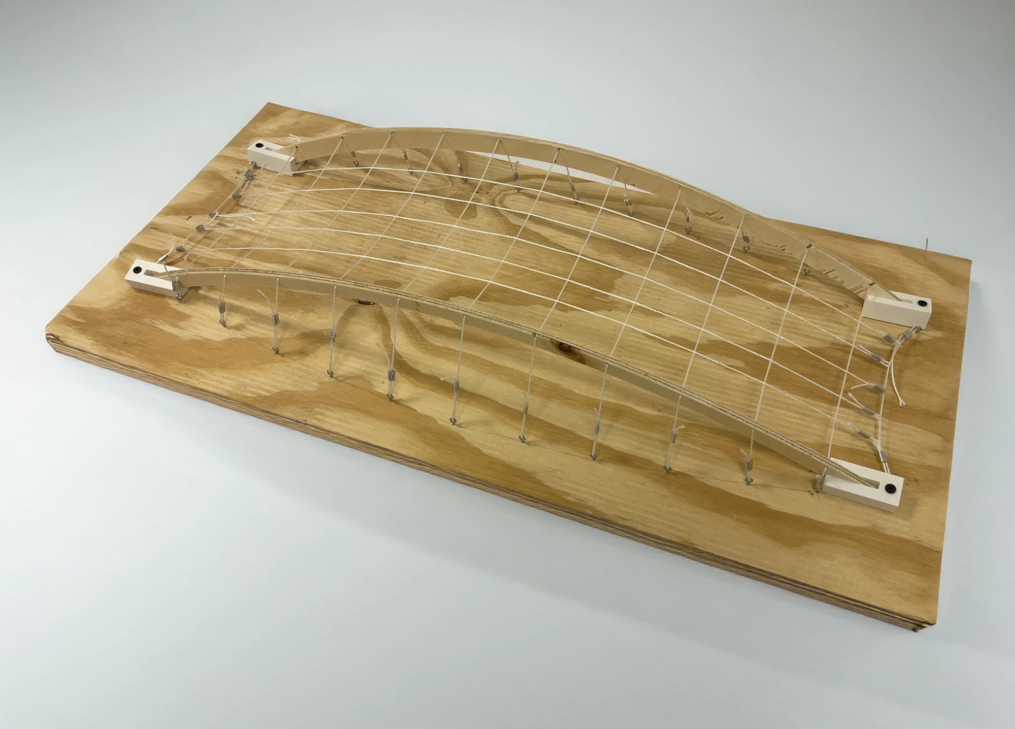 Jordan Brechting — completed arch and tension-net model