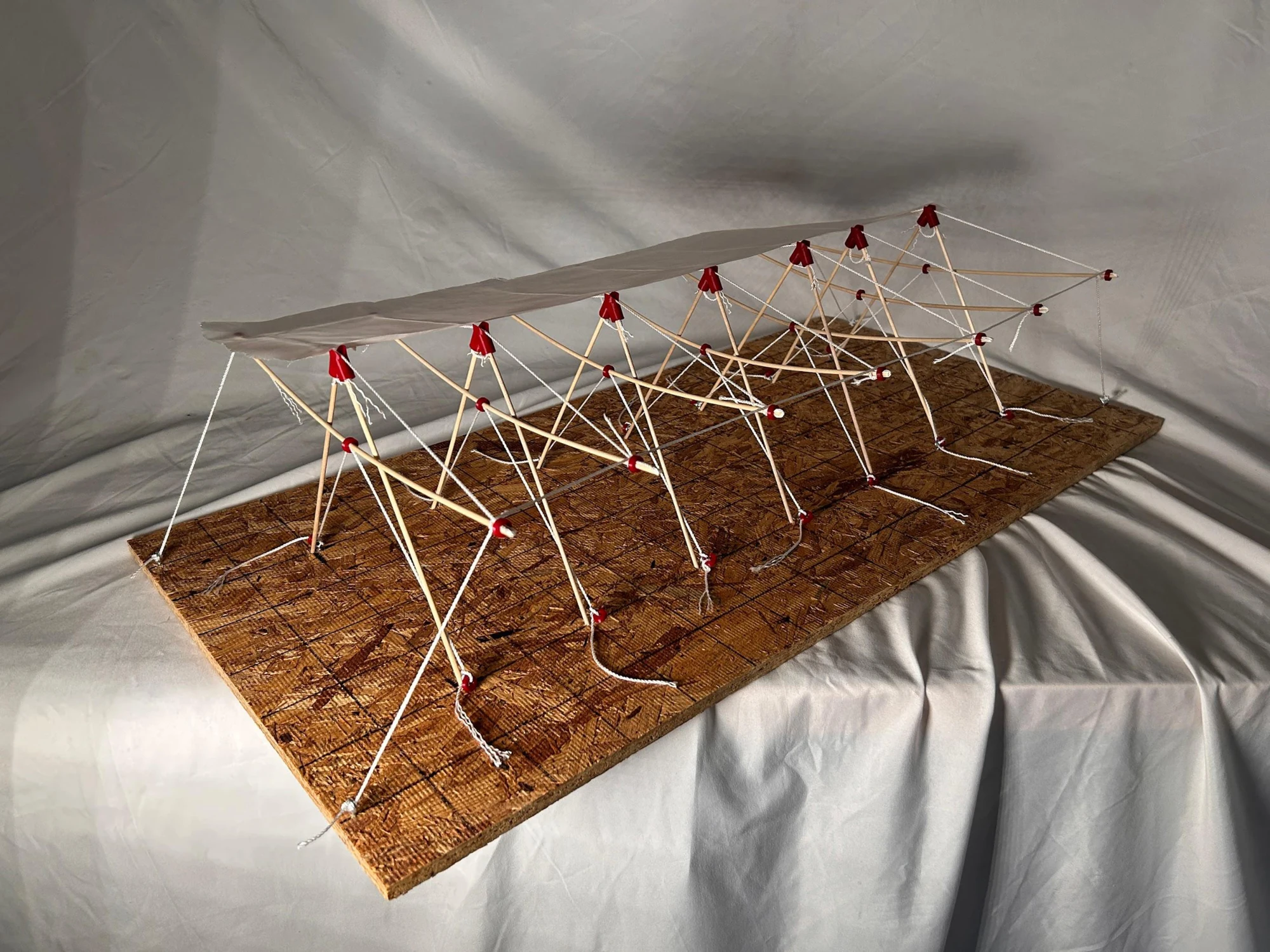 William Gardner — completed cable-supported canopy model